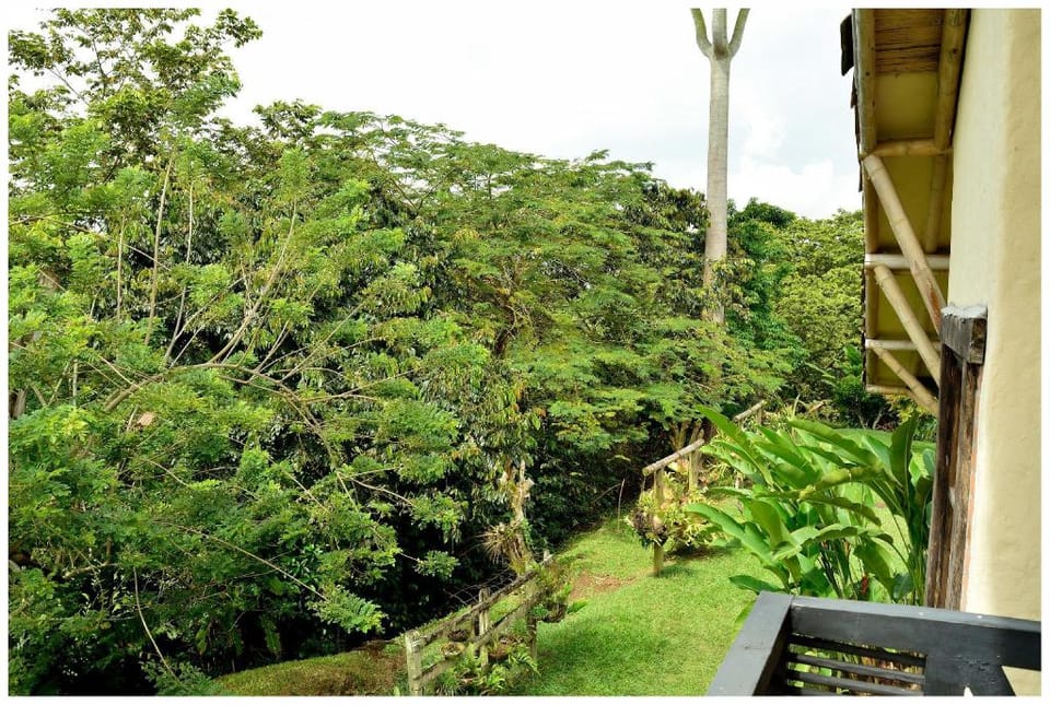 Herrería 20 Villa in Quindio, Colombia