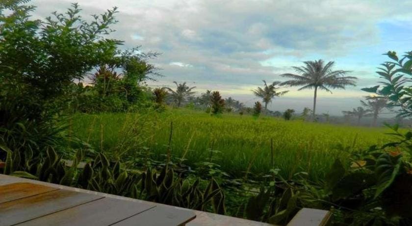 Kampoeng Tourist Homestay Vacation rental in East Java