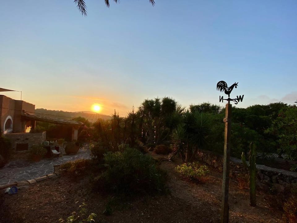 App. Petit - Adults Only - FincaOase Can Negre Apartment in Llevant