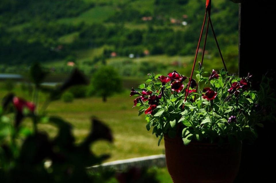 Mountain View Studio Apartment for 4 People Apartment in Montenegro