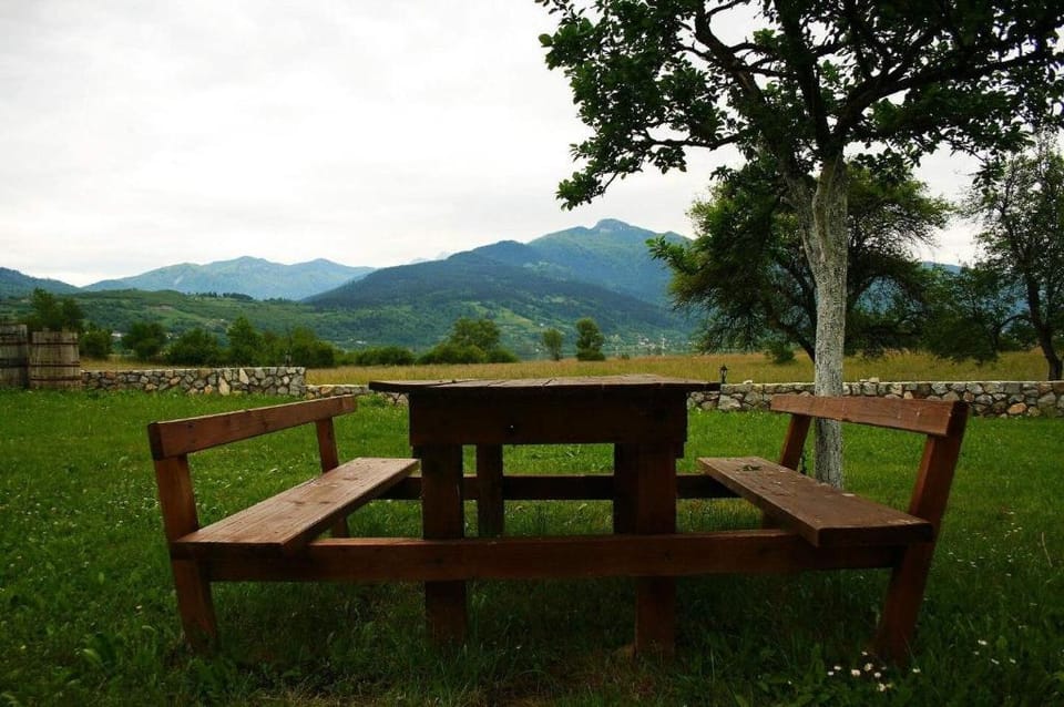 Mountain View Studio Apartment for 4 People Apartment in Montenegro
