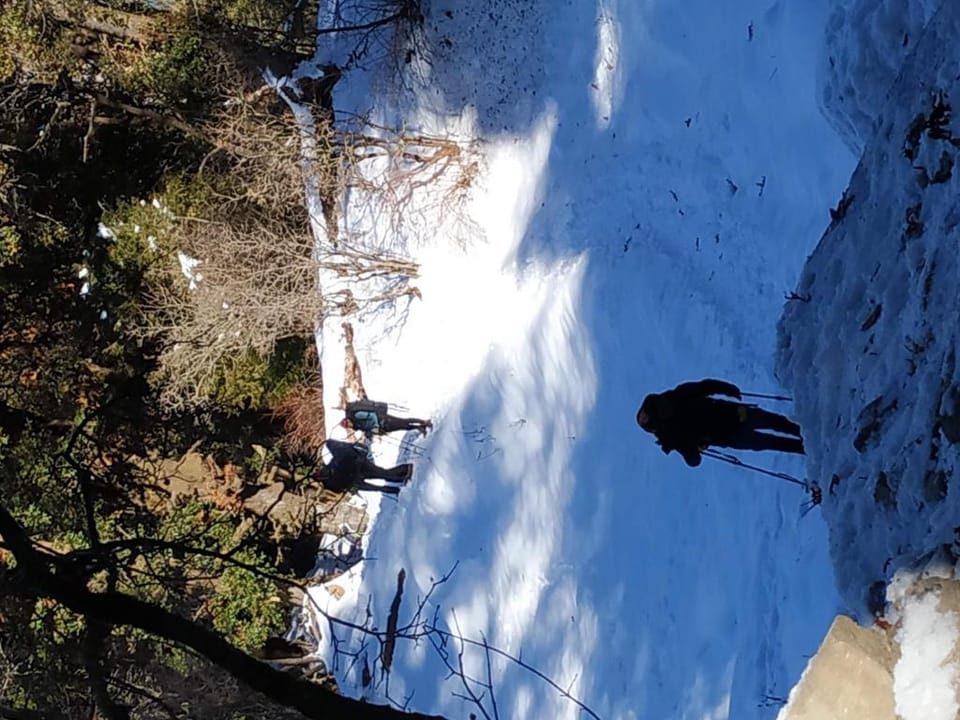 Dayara homestay raithal Vacation rental in Uttarakhand
