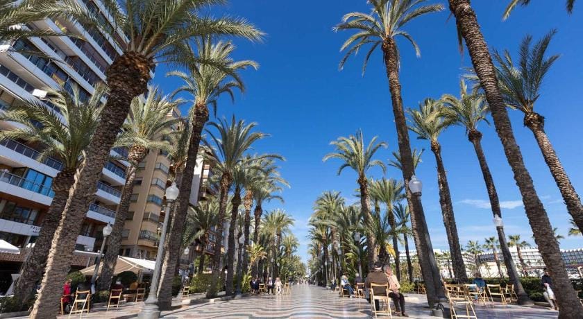 Entire house - 1 bedroom Apartment with Gallery Balcony Free Netflix, air conditioning Apartment in Alicante
