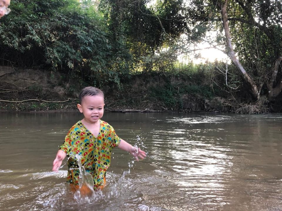 Chiangmai Elephant Home  Vacation rental in Thailand