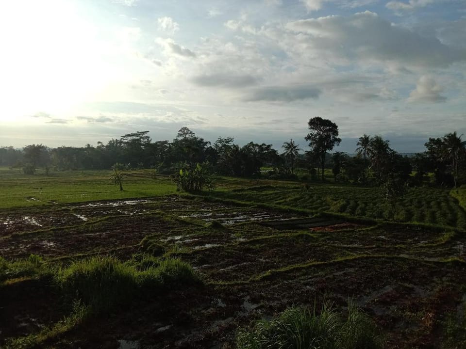 Biru Homestay - Guesthouse Vacation rental in West Java