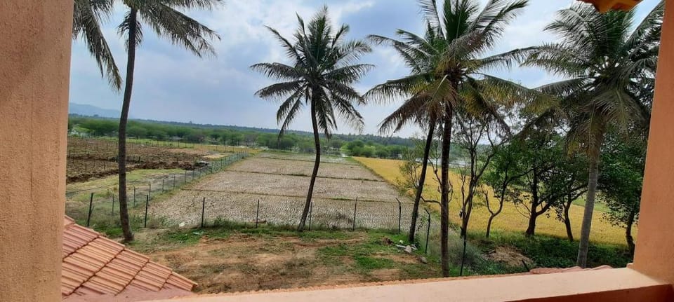 JJ Farms And Home Stay Villa in Kerala