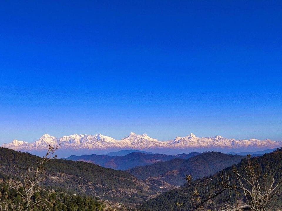 The Ecstasy Village Homestay in an Apple Orchard Vacation rental in Uttarakhand
