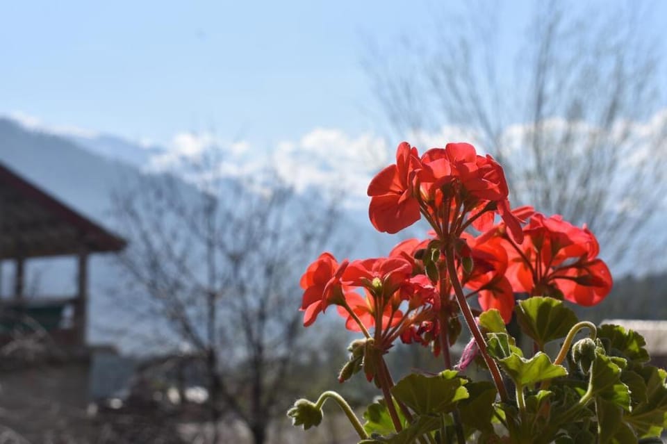 WFM Manali Apartment in Manali