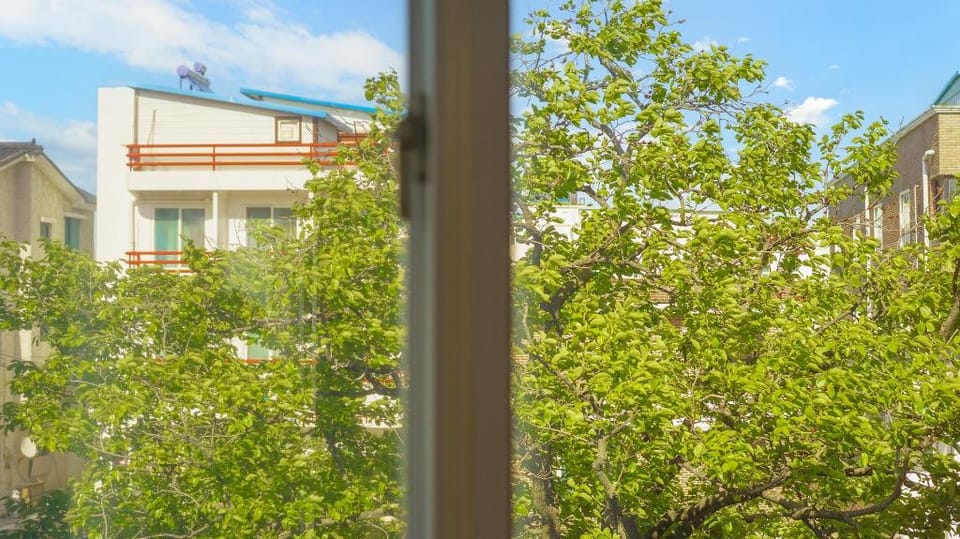 Goseong Gamnamu Pension Bed and Breakfast in South Korea