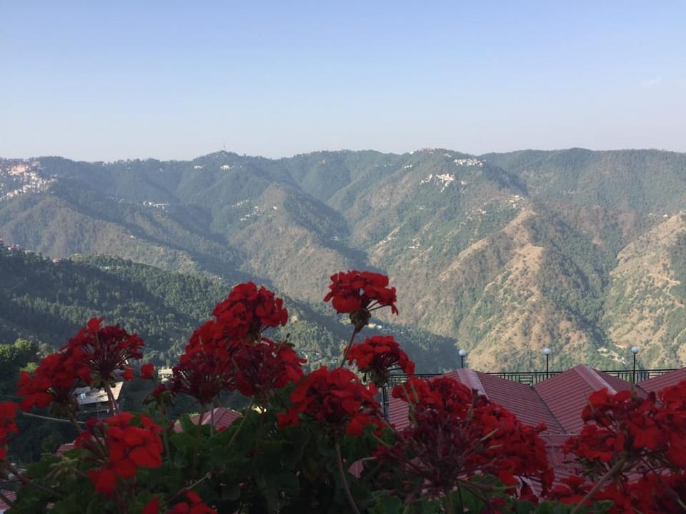 Entire flat in the lap of nature. Apartment in Himachal Pradesh