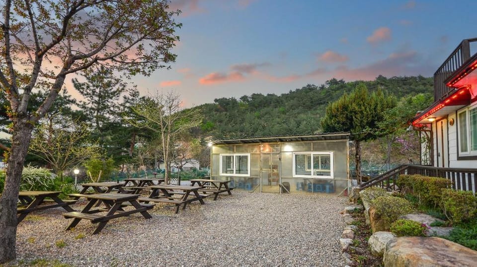 Samcheok Herb Pension Bed and Breakfast in South Korea