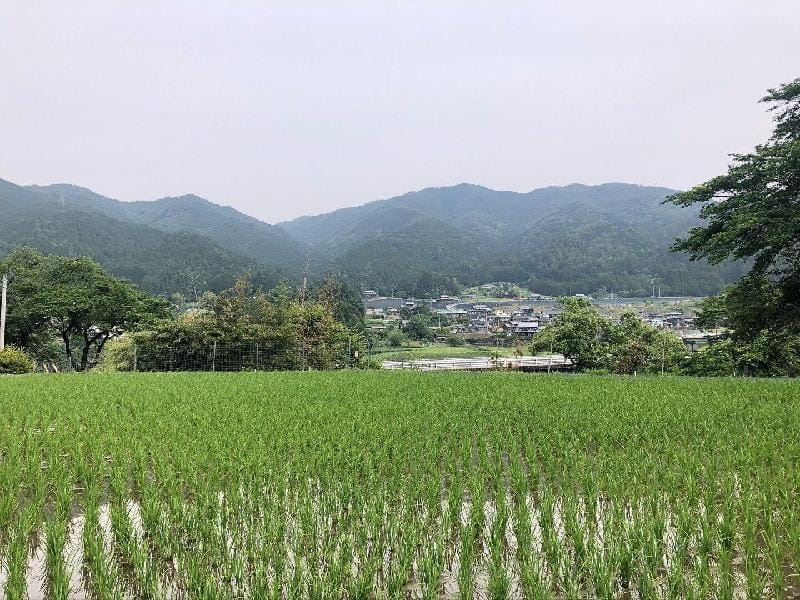 H花緑里-HANAMIDORI-乙原のやど Oppara no Yado,Gero,Gujo Vacation rental in Japan