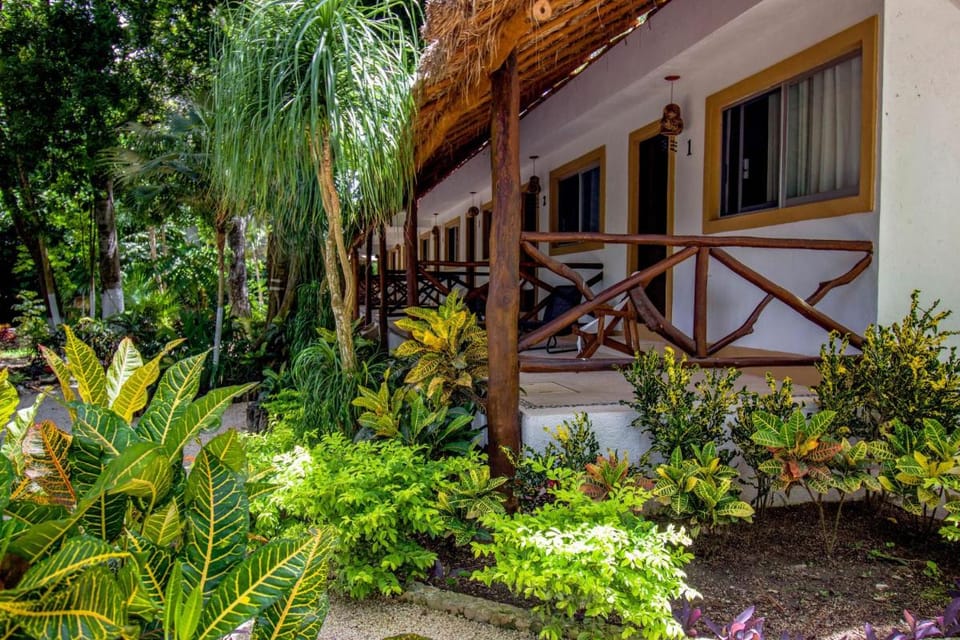 Hotel Tequila Cancun Hotel in State of Quintana Roo
