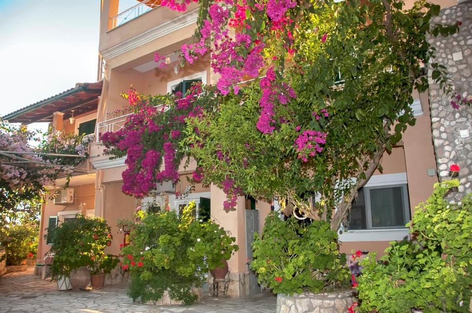 Holiday Studio Tonia - Pelekas Beach, Corfu Apartment in Corfu, Greece
