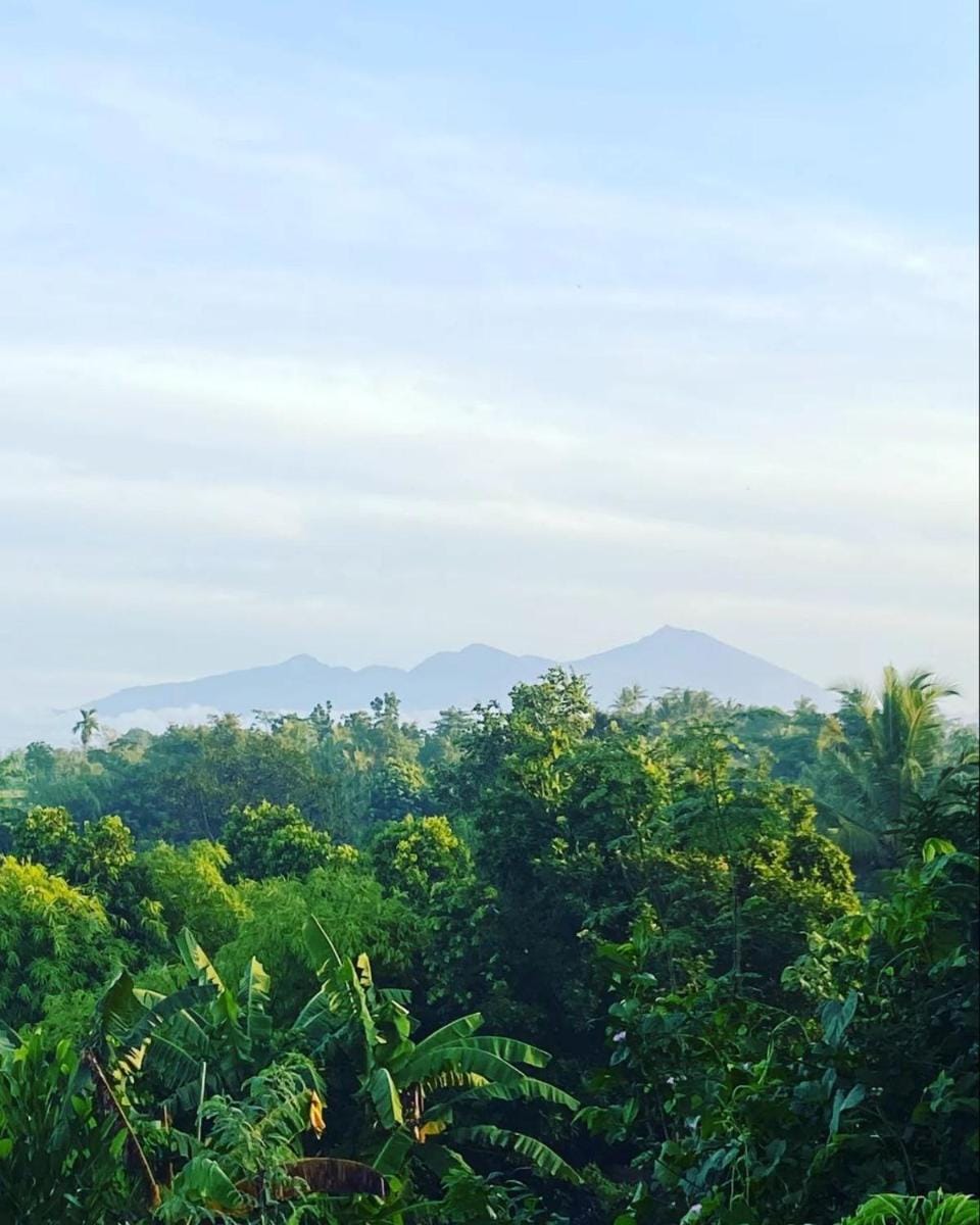 Tommy  Homestay Vacation rental in Pujut