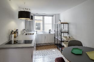 Balcony Apt. Central in Copenhagen, 50M to Metro Apartment in Copenhagen