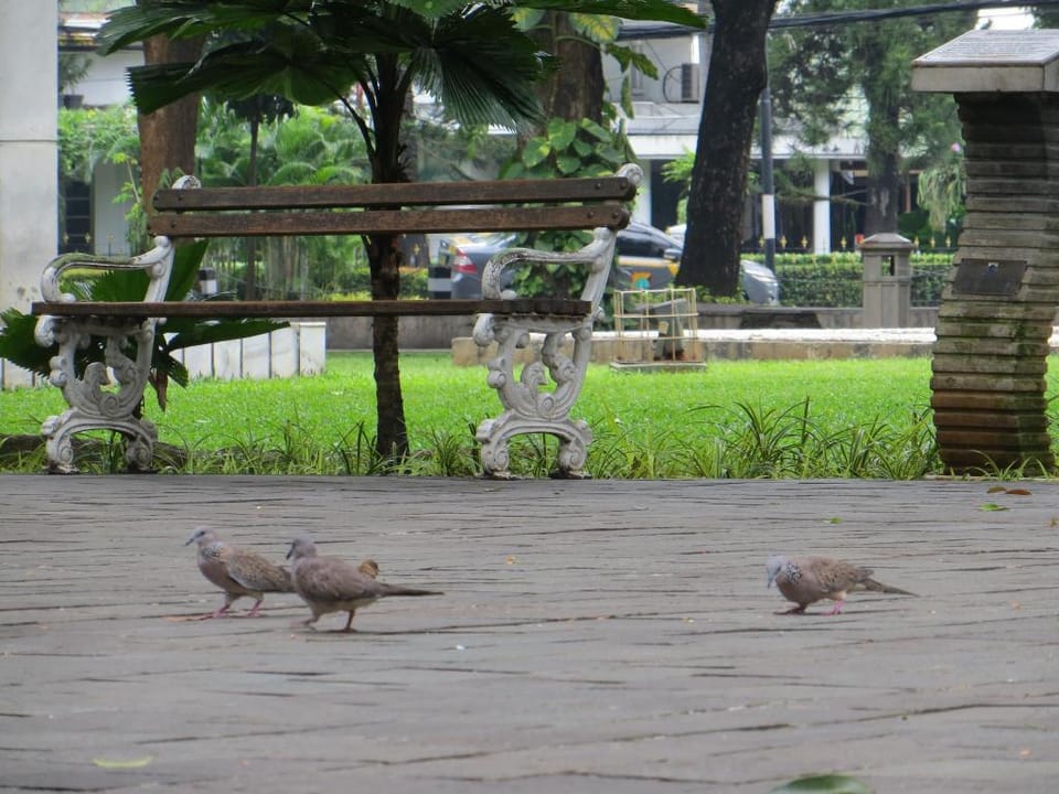 Mior House Hotel in Jakarta