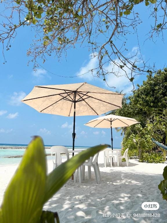 Bougainvillea Inn - Maldives Hotel in Maldives