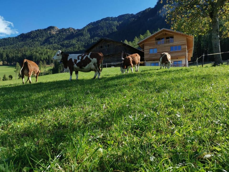 Ritschhof Apartment in Trentino-South Tyrol