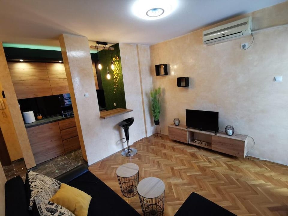 Prince Apartment Apartment in Novi Sad