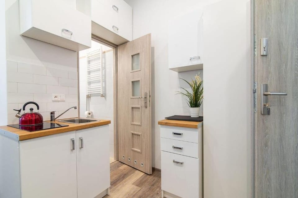 Nice&Cheep&Sleeping apartment -Old Town Poznan№4 Apartment in Poznan