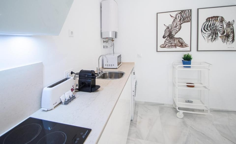 Apartamento Animalia Apartment in Cadiz