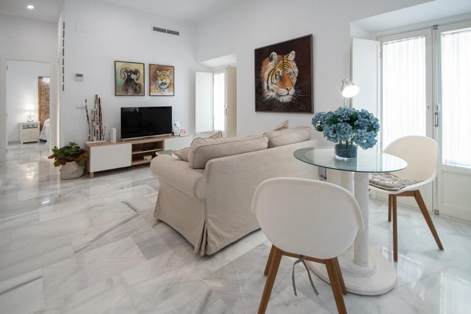 Apartamento Animalia Apartment in Cadiz