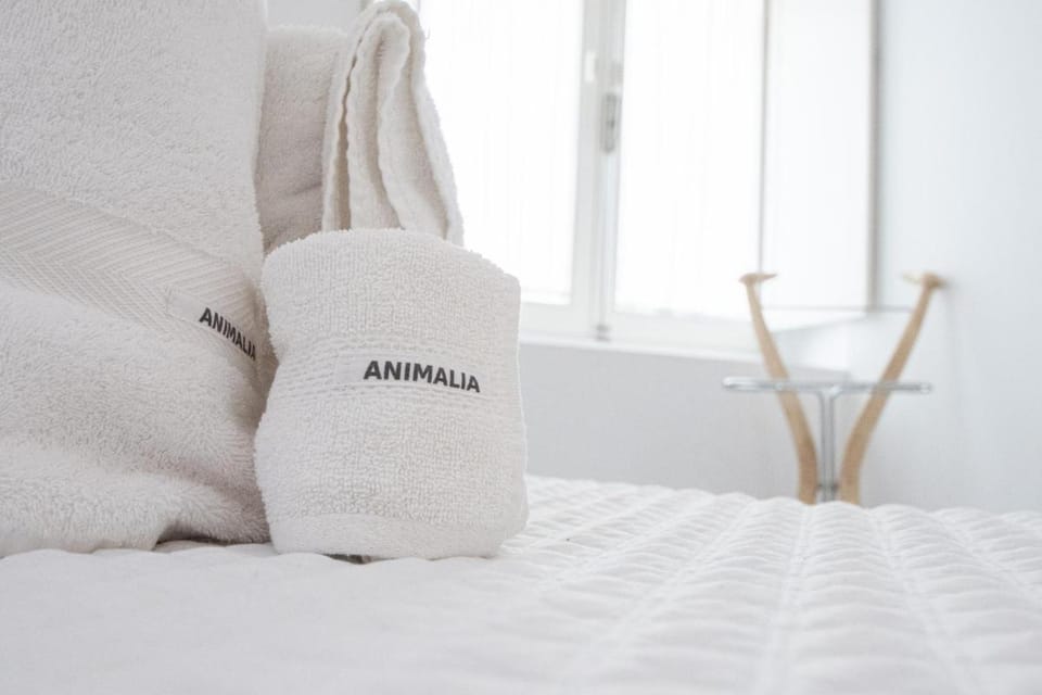 Apartamento Animalia Apartment in Cadiz