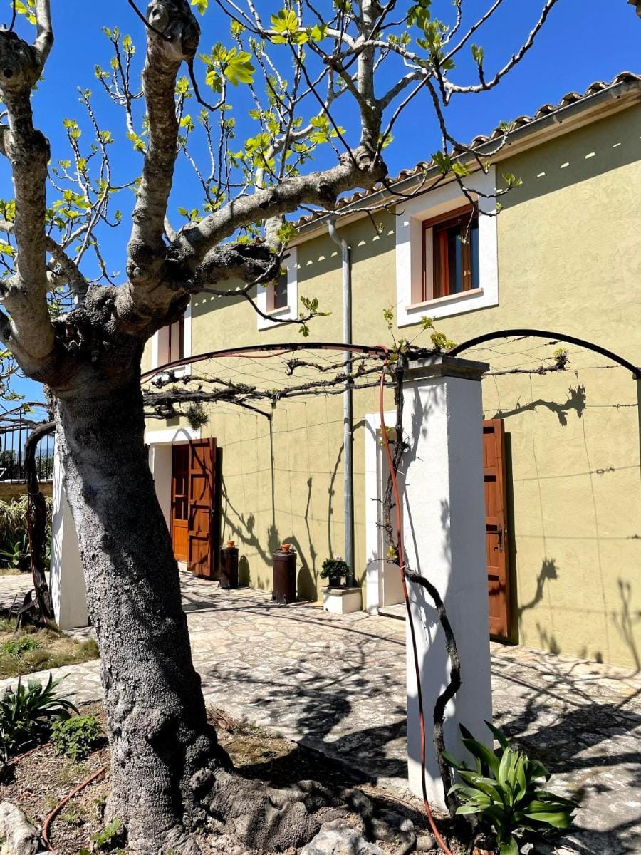 Can CorrO - Villa With Private Pool In Alcudia Villa in Pla de Mallorca