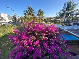 Homestay Papagarden Vacation rental in Vietnam