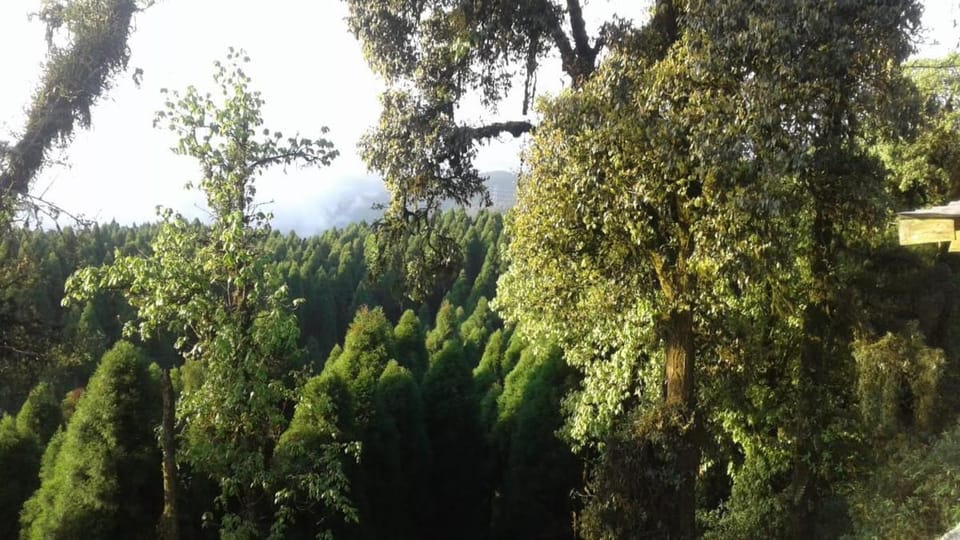 Heema Homestay Vacation rental in Darjeeling