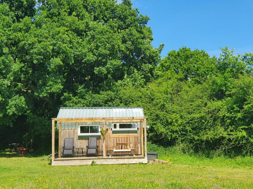 Dartmoor Reach Alpaca Farm Vacation rental in Bovey Tracey