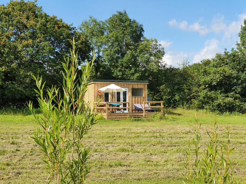 Dartmoor Reach Alpaca Farm Vacation rental in Bovey Tracey
