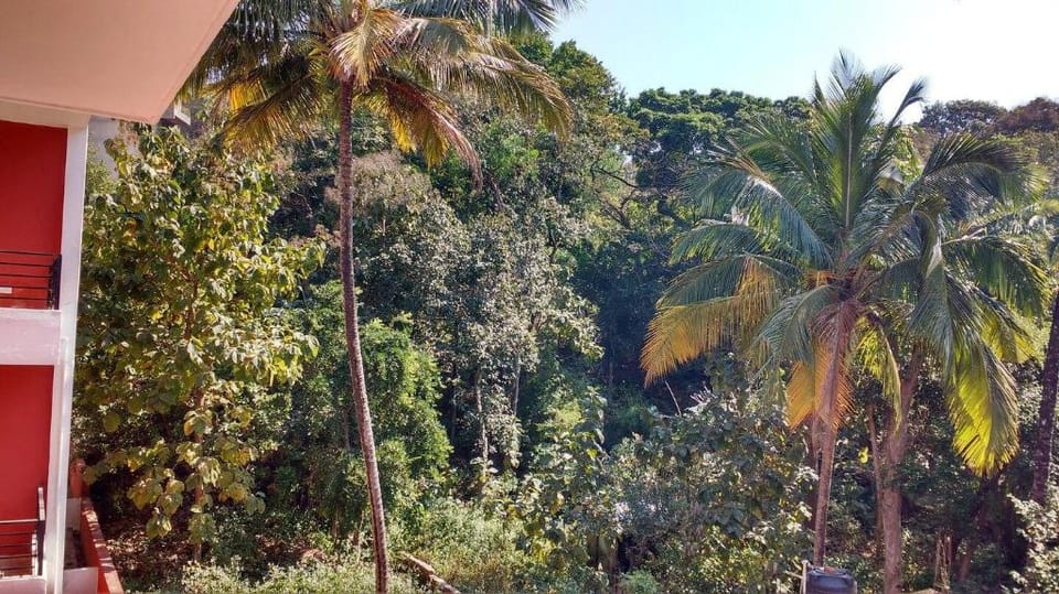 Budget WiFi Studio Aprtmnt@Cancona  Palolem, Goa Apartment in Canacona