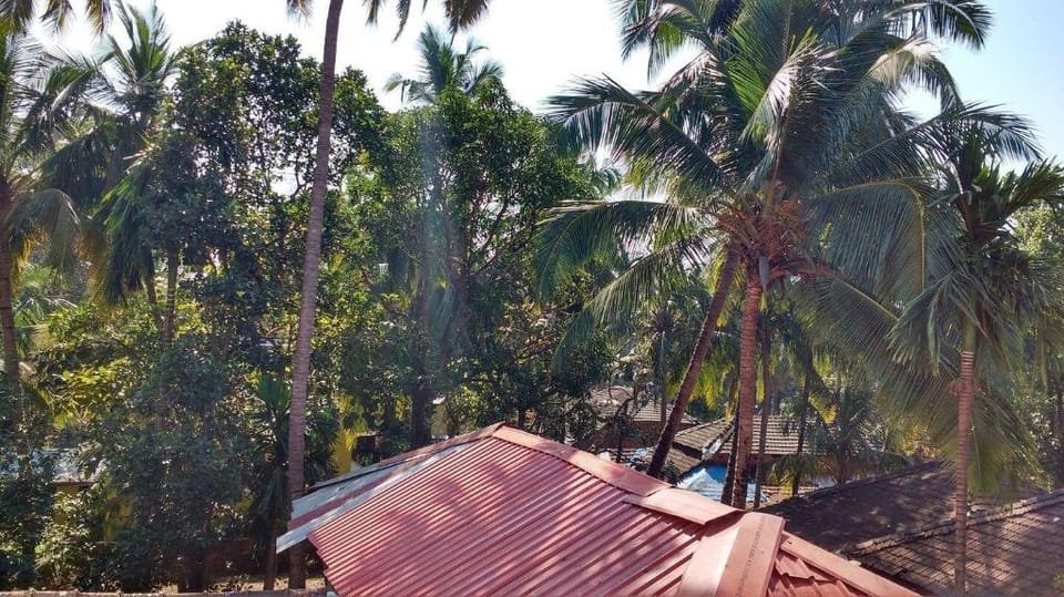 Budget WiFi Studio Aprtmnt@Cancona  Palolem, Goa Apartment in Canacona
