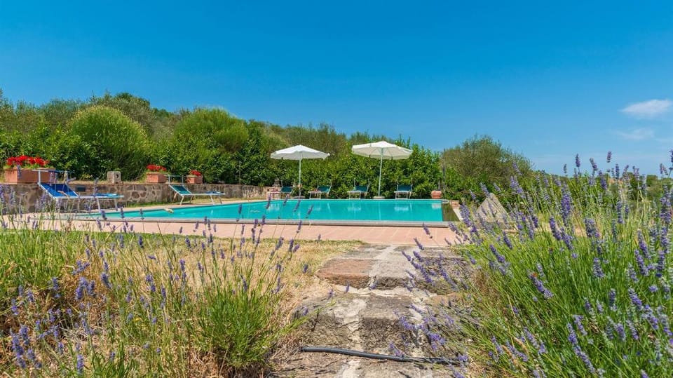 Le Macine 6  in Castel del piano Apartment in Tuscany