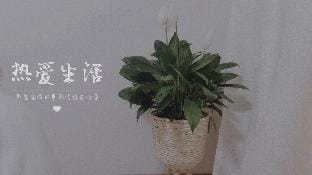 A九公子家·清晰摩洛哥ins风 ?彩虹沙滩海景民宿 Vacation rental in Xiamen