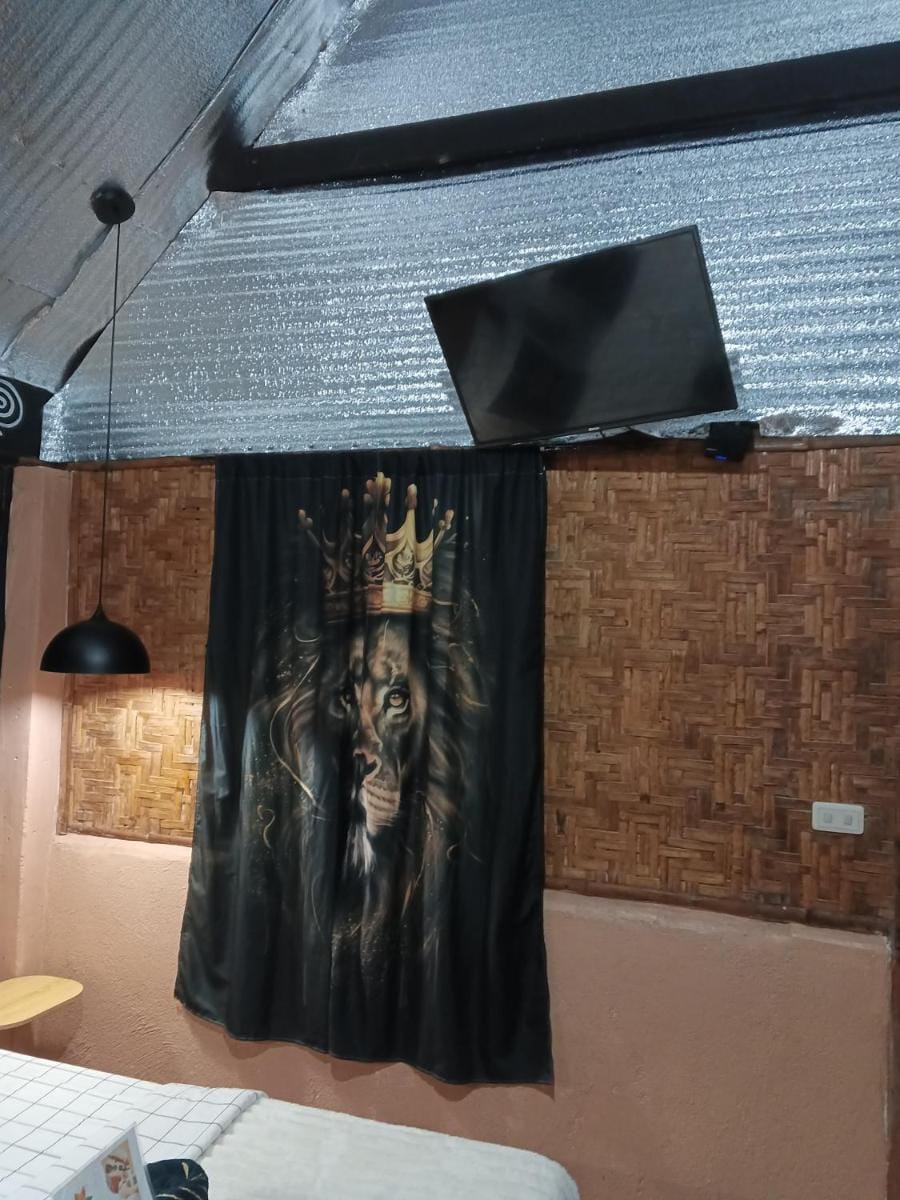 Two crazy monkeys Inn in Central Visayas