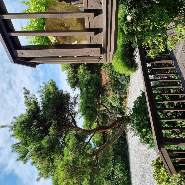 Anmyeondo Bada Sarang Naksi Pension Bed and Breakfast in South Korea
