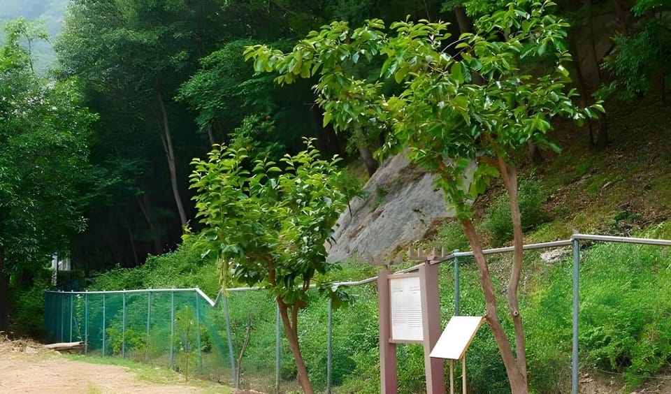 Buan Moolsarang Pension Bed and Breakfast in South Korea