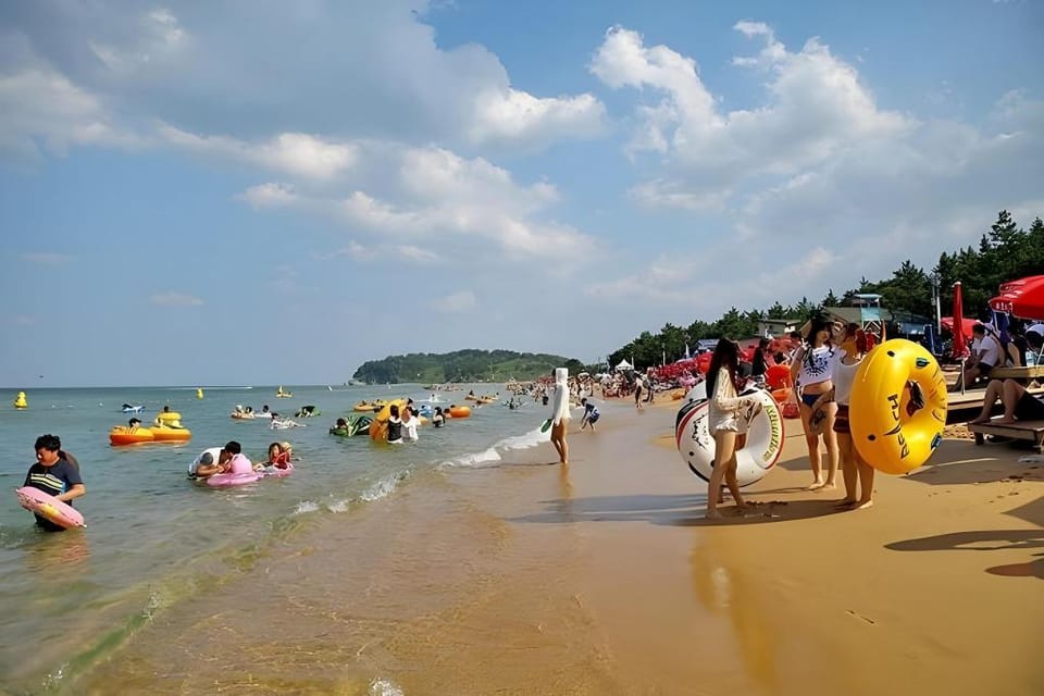 Byeonsanbando Soriseom Pension Bed and Breakfast in South Korea