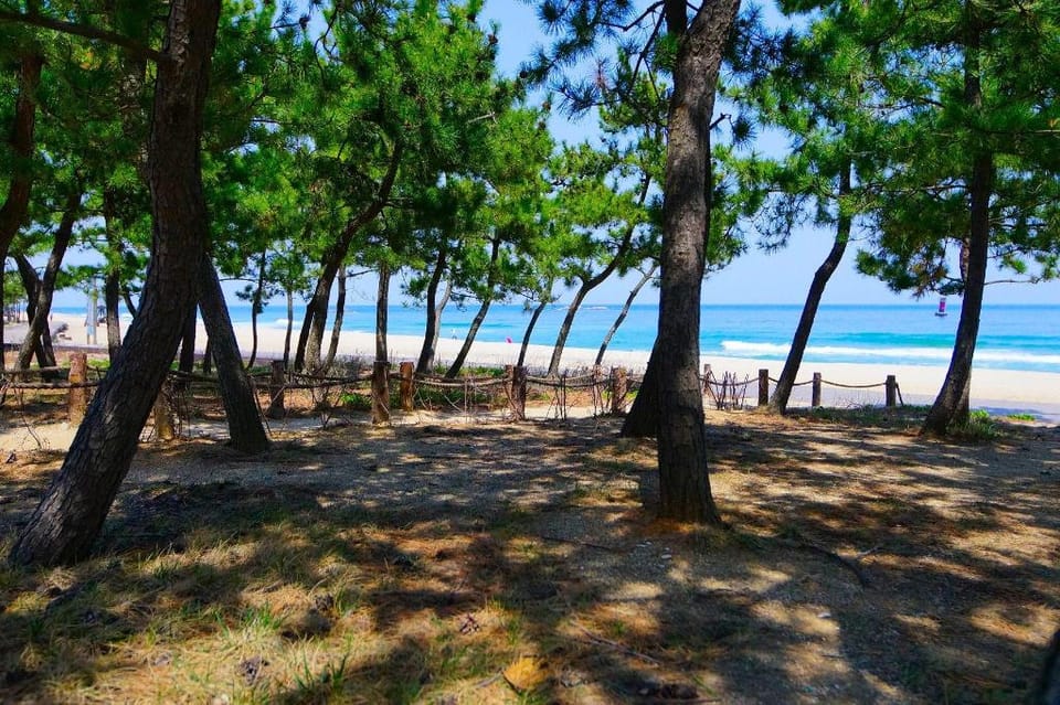 Buan Mohang Pension Bed and Breakfast in South Korea