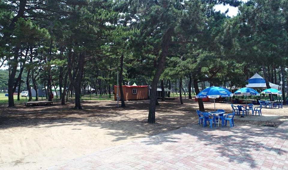 Mongsanpohaebyeon Pension Bed and Breakfast in South Korea