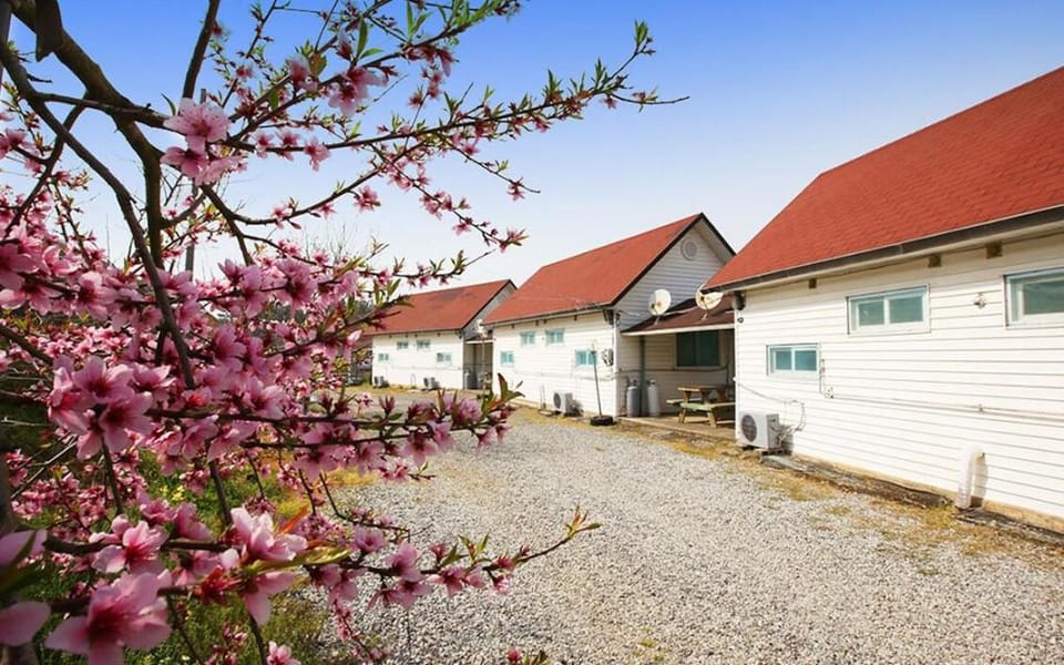 Sujeong Pension Bed and Breakfast in South Korea