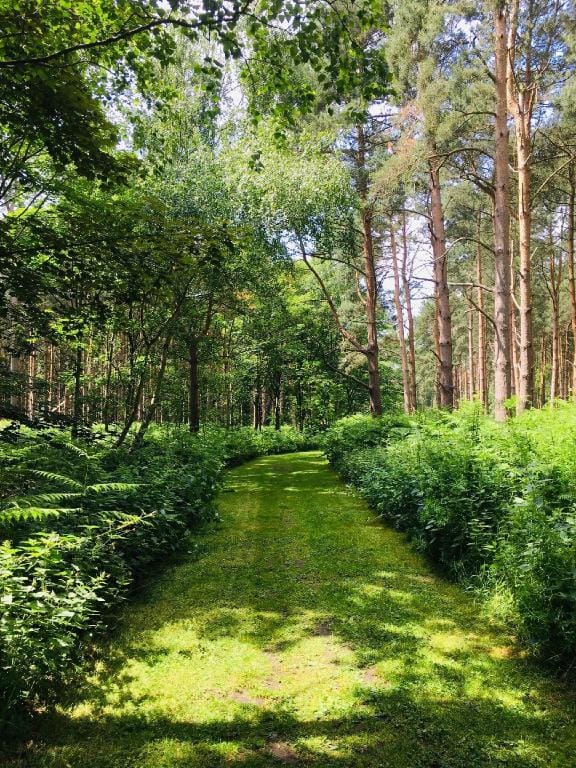 Hollicarrs - Newlands  Lodge in Selby