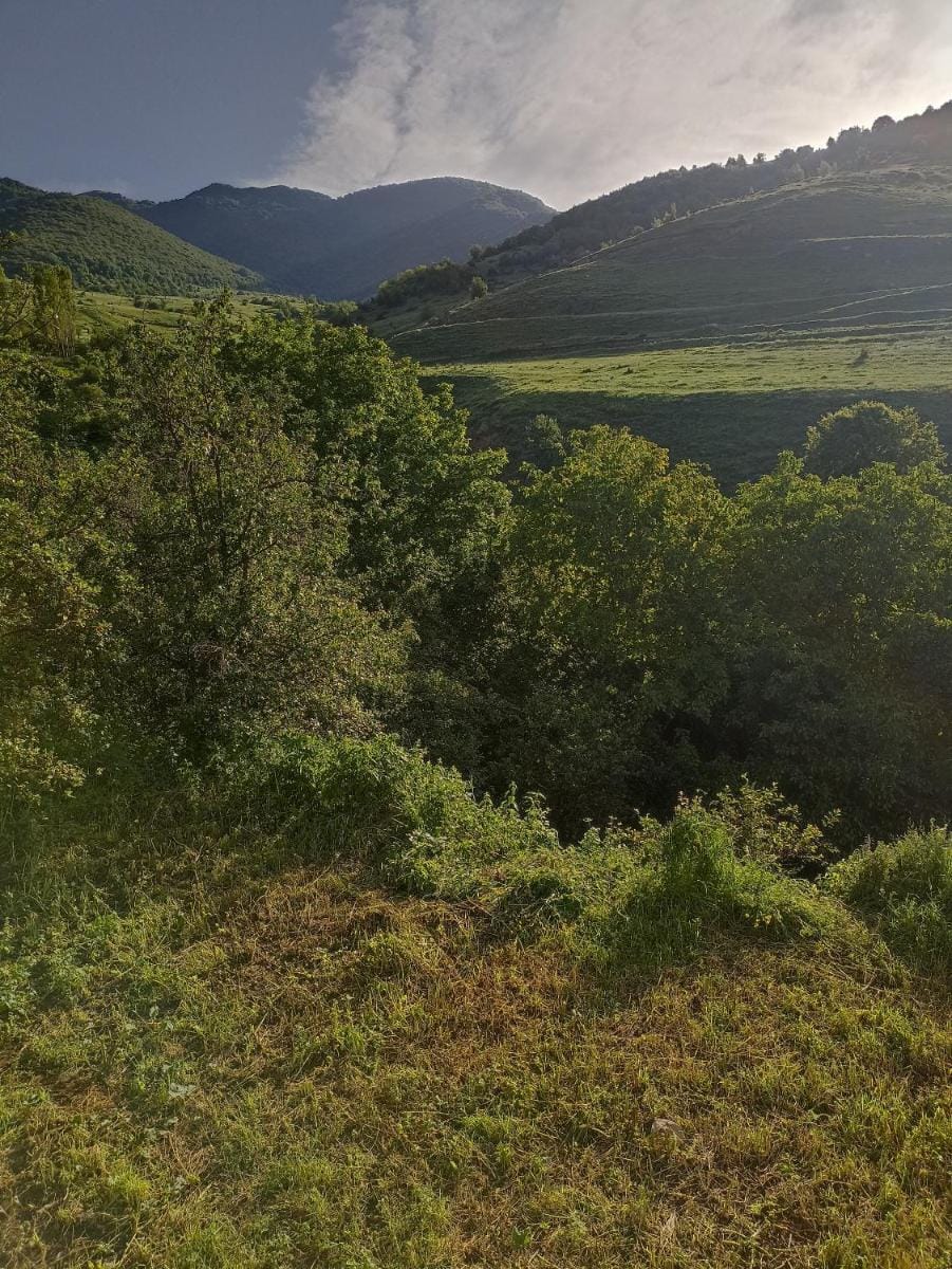 AMOJ B&B and Guest house Bed and Breakfast in Armenia