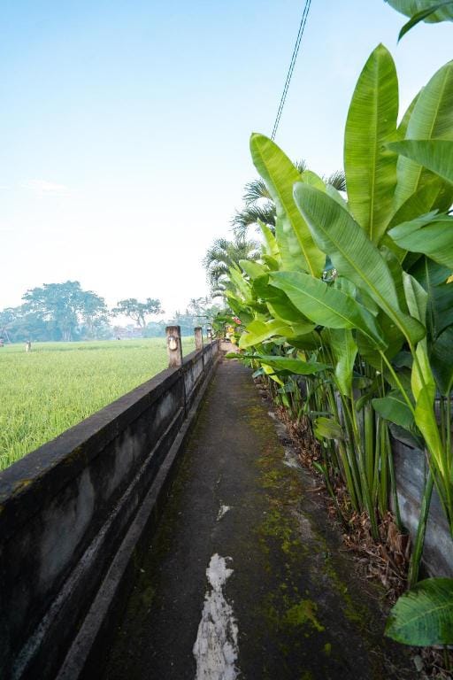 Two Bedroom Private Pool Villa with Ricefield View Villa in Ubud