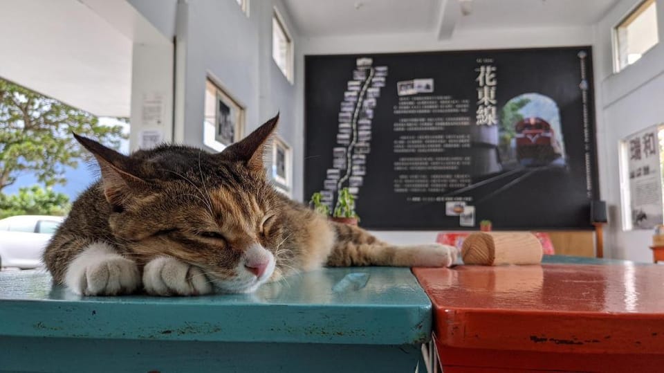 Stationmaster dormitory 時光驛站 站長宿舍-在地慢遊、鐵道露營 Vacation rental in Taiwan, Province of China