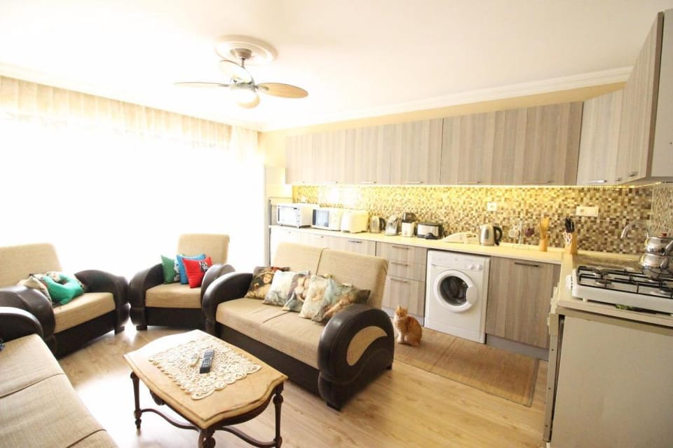 HOLY ART VİLLAS - Triplex villa on the beach Vacation rental in Fethiye