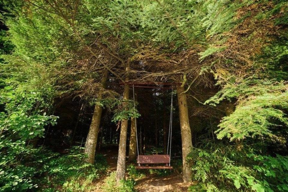 Forest House exclusive Vacation rental in Lviv Oblast
